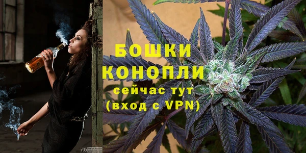 гашик Белоозёрский