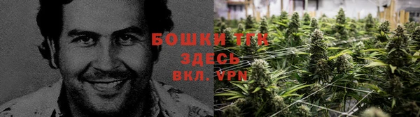 гашик Белоозёрский